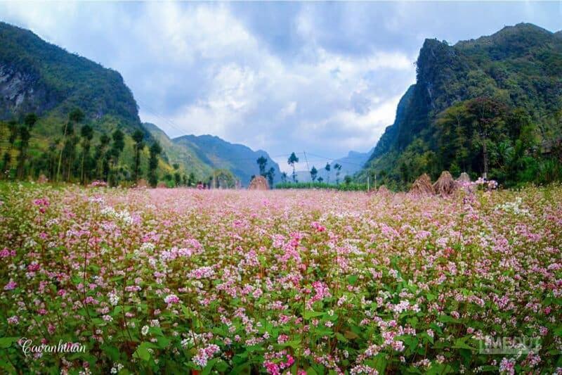 Nha Nghi T&T Hotel Dong Van  Eksteriør billede